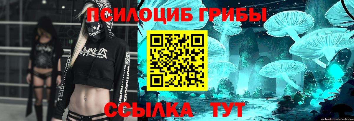Псилоцибиновые грибы Psilocybe  Вход с VPN  Амурск 