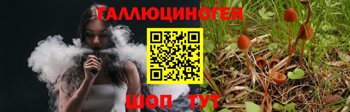 Галлюциногенные грибы ЛСД Амурск